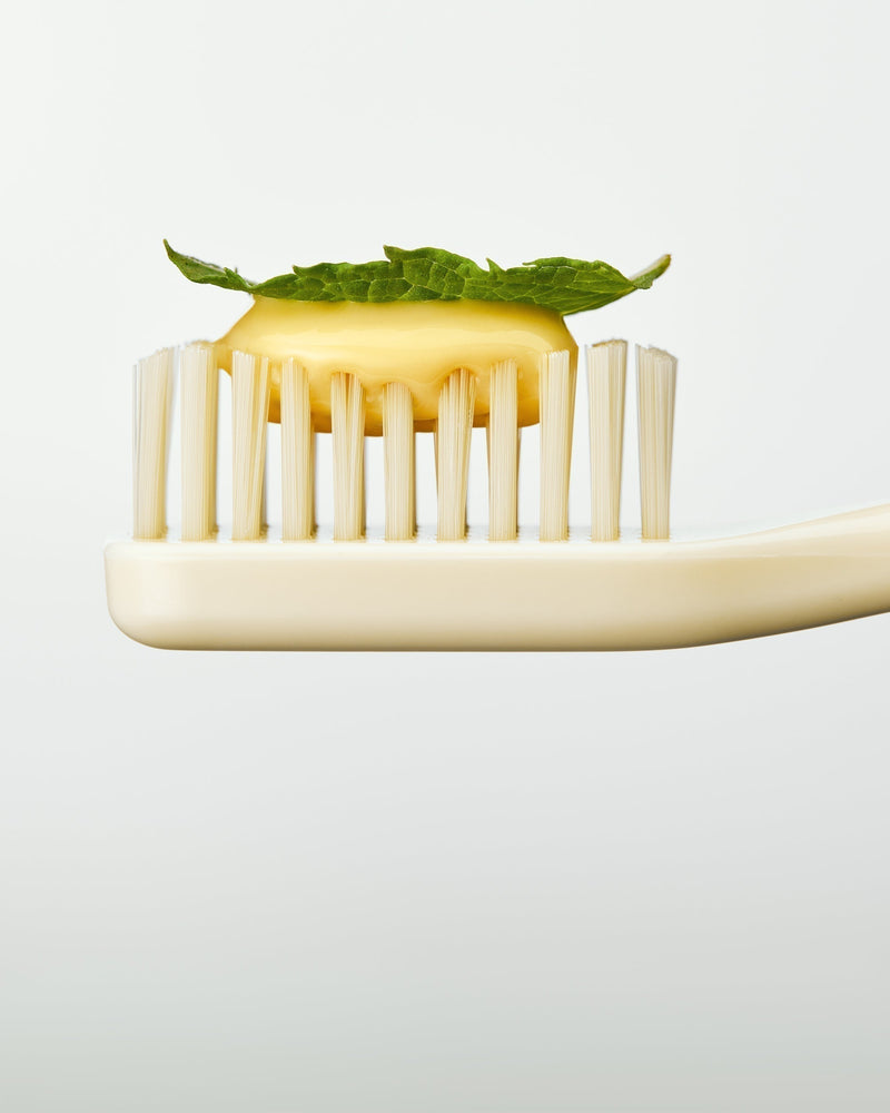 Is Stevia Bad for Teeth? What It Means for Oral Health