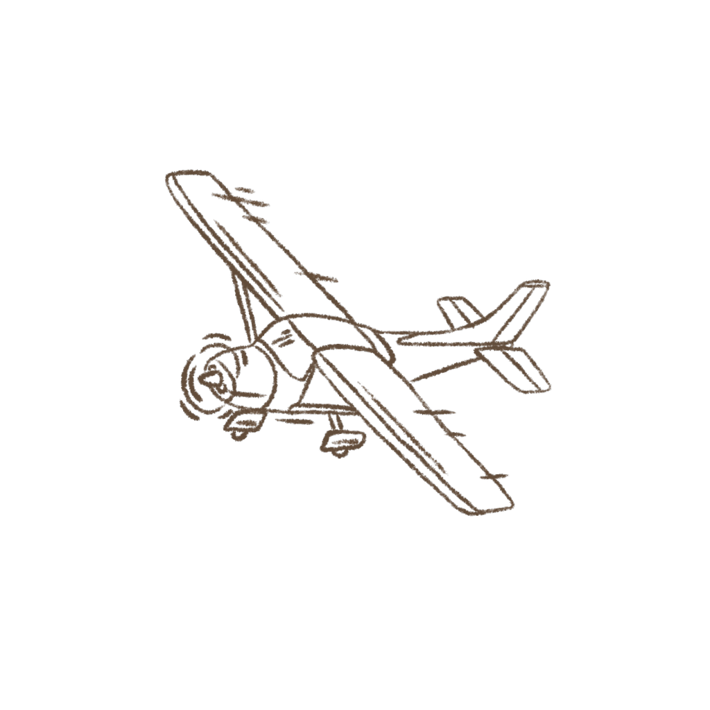Travel Size Plane